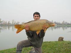 carpfishing 100%